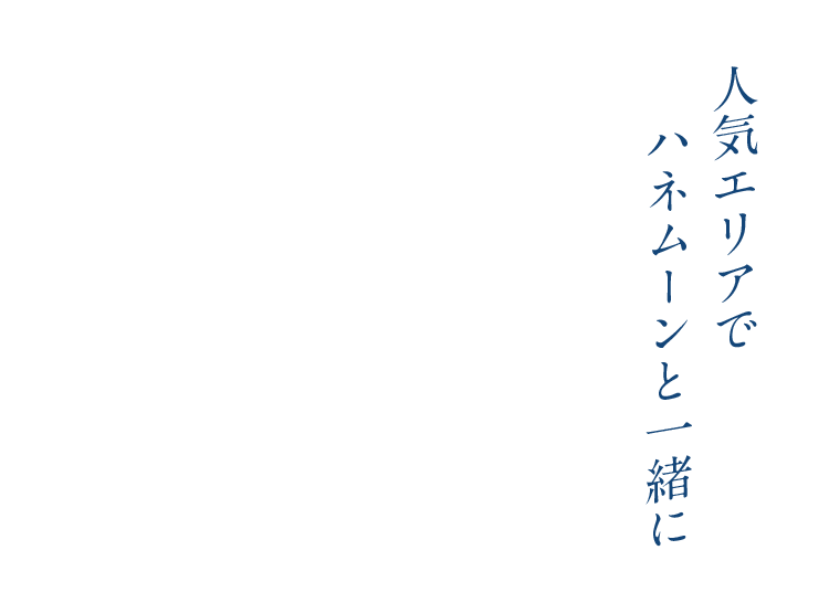 人気エリアでハネムーンと一緒に